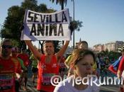 Camino Maratón Sevilla 2015 Directo)