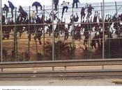 Igualdad, desigualdad saltos vallas #BAD14