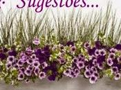 sugestoes premios.....