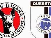 Trasmision vivo Xolos Querétaro jornada liga