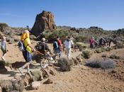 Proyecto “Naturaleza para todos Parque Nacional Teide”: Curso Nivel Piloto Joëlette