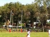 Resultados divisiones honor