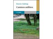 Caminos anfibios