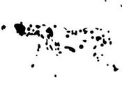 ¿Por percibes perro imagen?