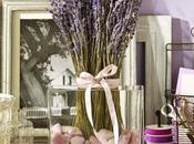 Lavanda