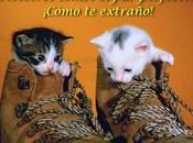 Cómo extraño