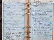 mamás, tenemos periodo adaptación?