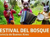 Festival Bosque