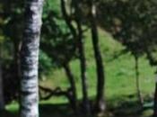 picnic otoño/ Autumn