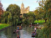 Cambridge puentes