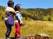 MIDBO: camino viento (Wuejia Nyi)