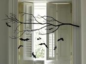 Comunicado Oficial Castañas Unidas (LCU)