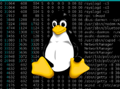 Comandos GNU/Linux (II) Tareas, módulos, conexiones cortafuegos