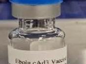 Inicia Ensayo Clinico Vacuna para Ebola
