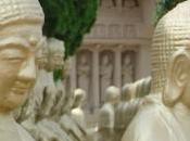 cerrado oportunidades laborales haber opositado?