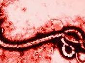 Casos Sospechosos Ebola Obligatoria Notificacion