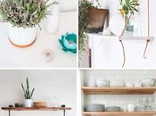 gustan plantas?