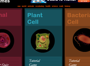 Interactive Cells