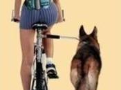 Cicle-dog