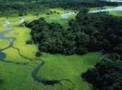 Necesitaremos planetas 2030 para satisfacer demanda recursos naturales 20minutos.es