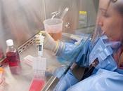 millones euros "invisibles" para curar ébola