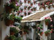 Patios cordobeses