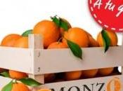 Naranjas online: campo casa horas