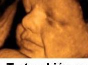 aborto: ¿Actitud moderna?!