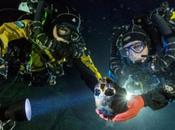 gusta, emociona... pero falso