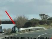 Radar velocidad carne hueso