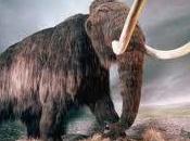 verdadero significado soñar mamuts