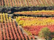 Desde Rioja: Ondalan, sabiduría perfeccion.