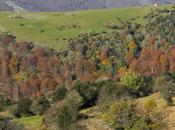 esos montes cantabria