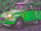 Ranita verde