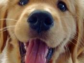 Puntos cardinales Jatte:2-Risas sonrisas