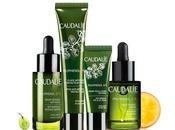 Caudalie Polyphénol C15, contra oxidación piel