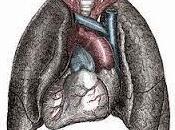 Situs Inversus cuando cuerpo está todo revés