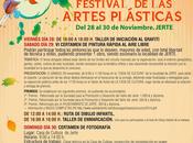Festival Artes Plásticas noviembre Jerte)