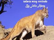 Tres Leones