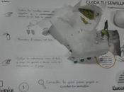 Ideas familia: plantar planta