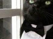 Viernes black