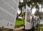 Sincrónica: Cinemateca Parque