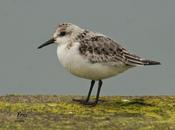 Aquí desperdicia nada