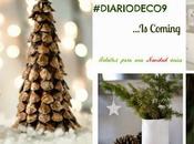 #DiarioDeco9: Navidad Única