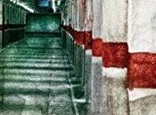 Reseña Vigilante” Peter Terrin