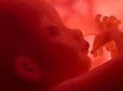 significado real soñar fetos.