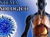 Cuida sistema inmunitario