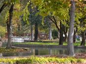 Disfrutando Carla Bulgaria Roses Beauty cabina Slow Life House