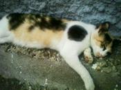 Momentos julio semana