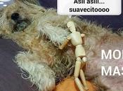 Patxi. Momento Masaje